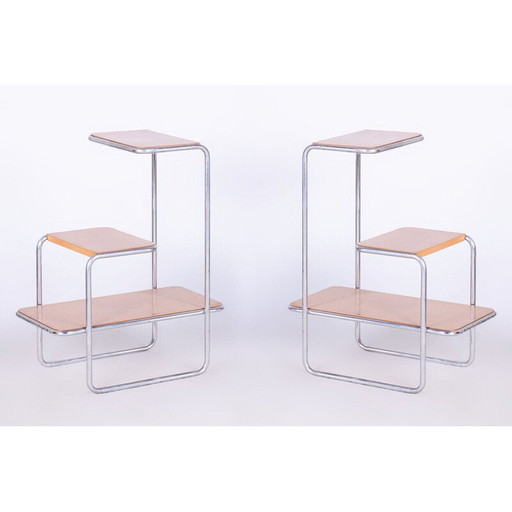 Paar alte Bauhaus-Regale von Arnošt Beck für Robert Slezák, Tschechoslowakei 1930