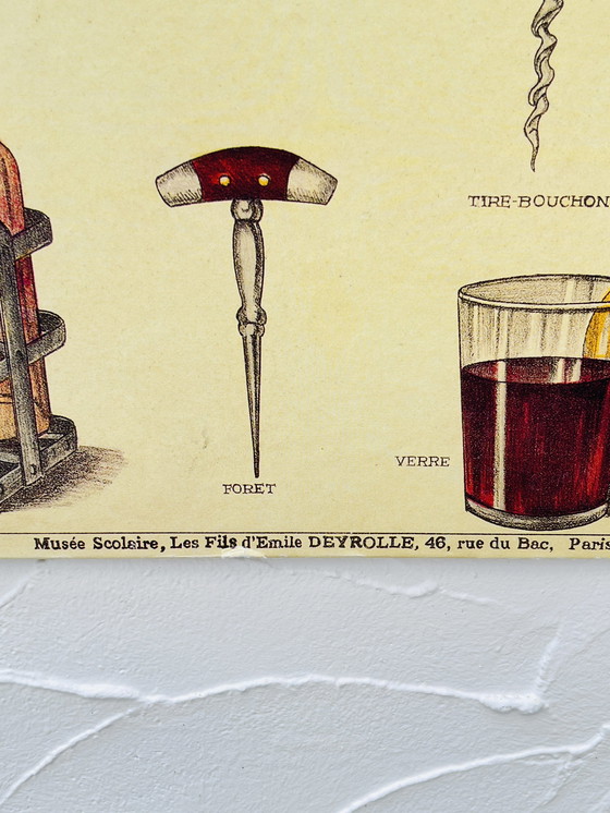 Image 1 of Pädagogische Tafel über Wein