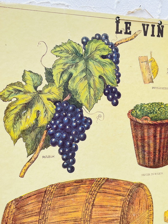 Image 1 of Pädagogische Tafel über Wein