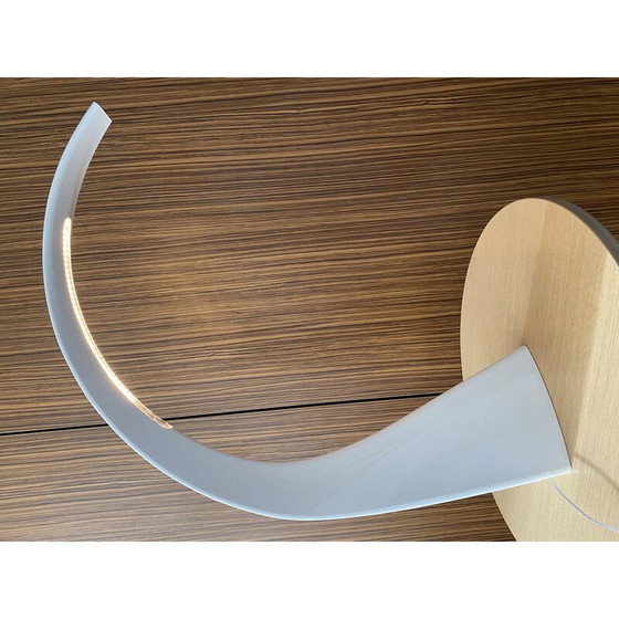 Image 1 of Vintage-Lampe von Ferruccio Laviani