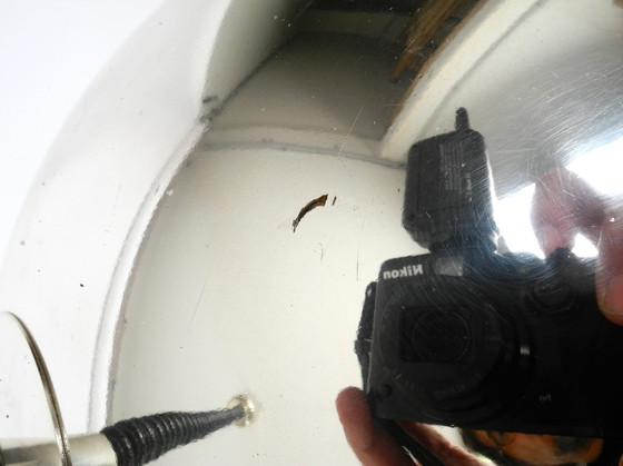 Image 1 of Schöne, seltene Mid Century Deckenleuchte der Vereinigten Werkstätten komplett versilbert