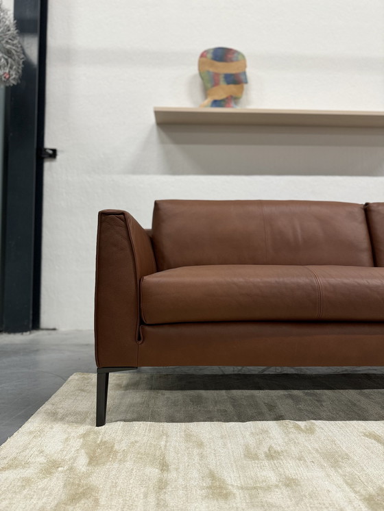 Image 1 of Design Auf Lager Heelz 4-Sitzer Sofa Cera Canyon Leder