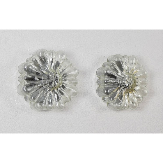 Image 1 of Paar Wandleuchten aus transparentem Glas in Form von Blumen, Deutschland 1950