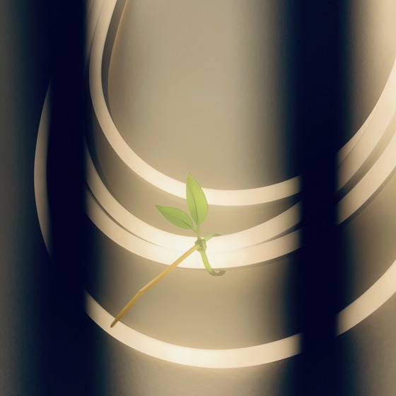 Image 1 of Fullledline - Lichtobjekt - Lichtdraht - Design & Ausführung atelier91