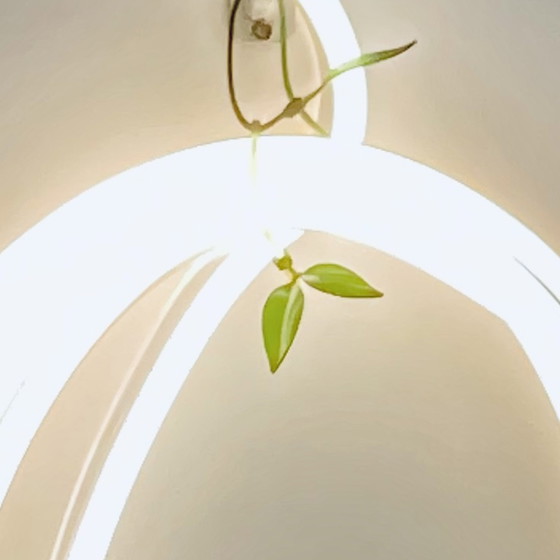 Image 1 of Fullledline - Lichtobjekt - Lichtdraht - Design & Ausführung atelier91