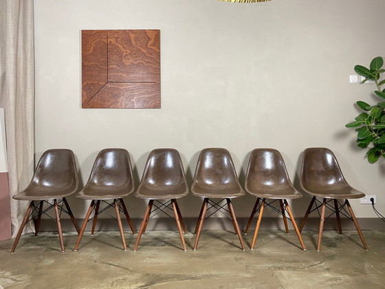 Image 1 of 6x Eames HermanMiller/ Vitra DSW