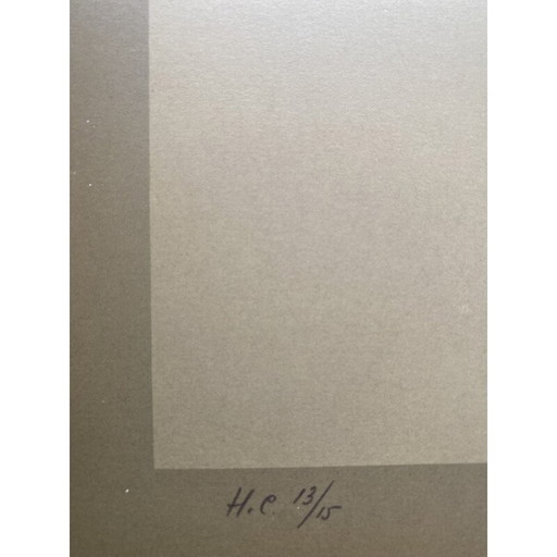 Vintage-Fotolithografie "Hommage an Vasarely" 13/15 von Jim Bird für Poligrafa, Barcelona 1970er Jahre