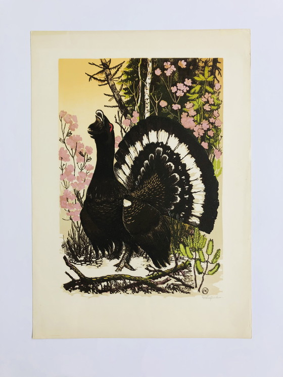 Image 1 of Kirpitchev - Großer Korhaan - Lithographie