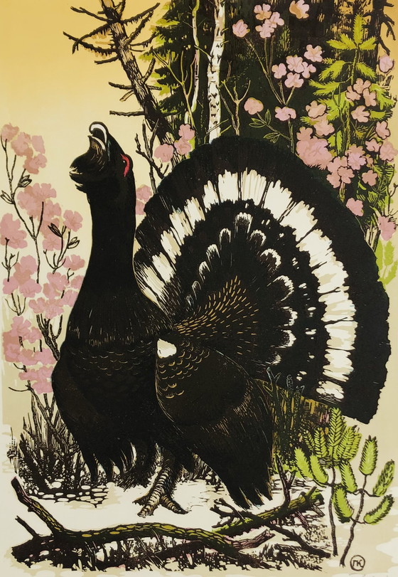 Image 1 of Kirpitchev - Großer Korhaan - Lithographie