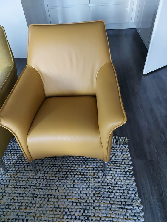 Image 1 of Ledersessel Mayuro von Leolux