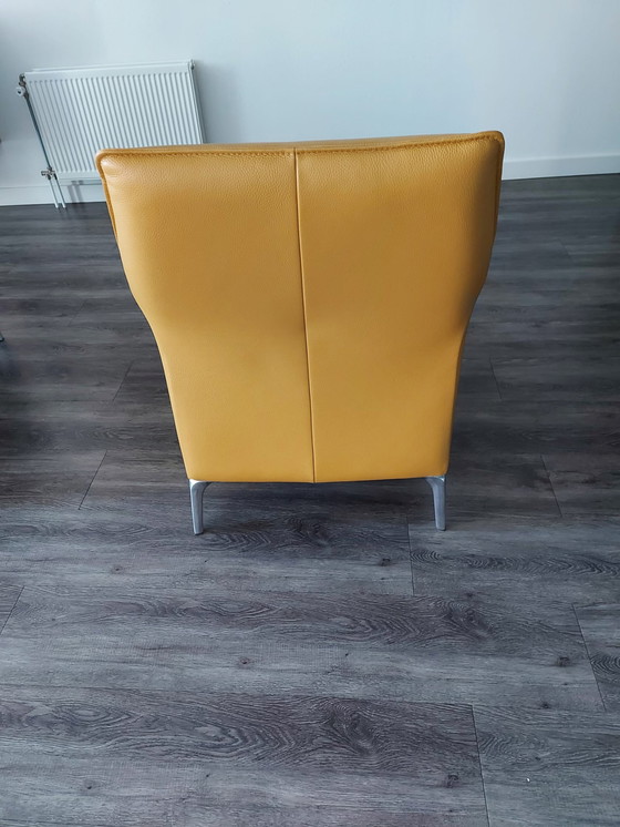 Image 1 of Ledersessel Mayuro von Leolux