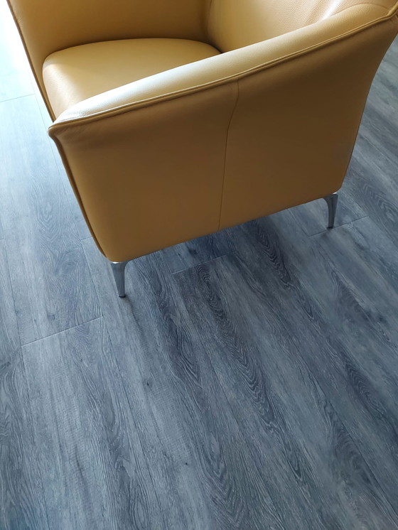 Image 1 of Ledersessel Mayuro von Leolux