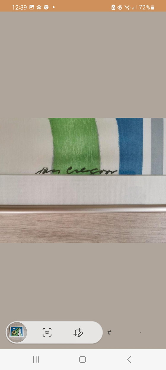 Image 1 of Jan Gregor- Frog Siebdruck auf Baumwollseide