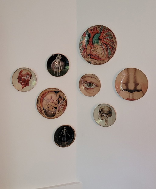 Wallware Dekorative Wandschilder Anatomie