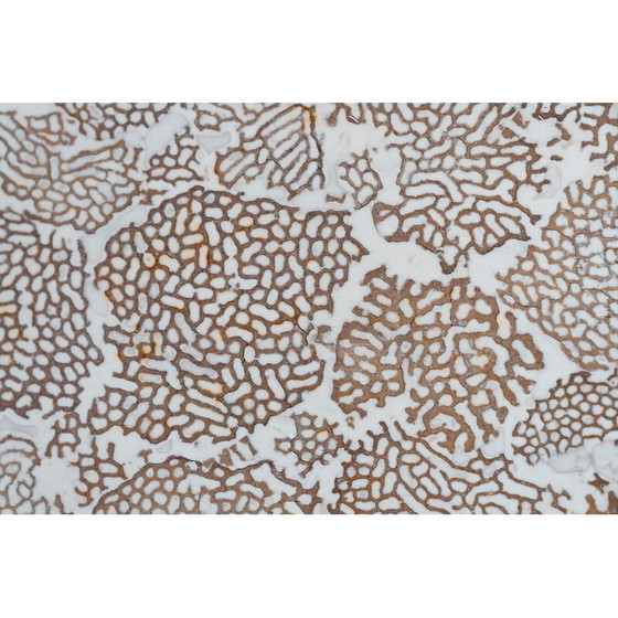 Image 1 of Vintage Elite Couchtisch mit Termiten und Harzplatte, 1990er Jahre