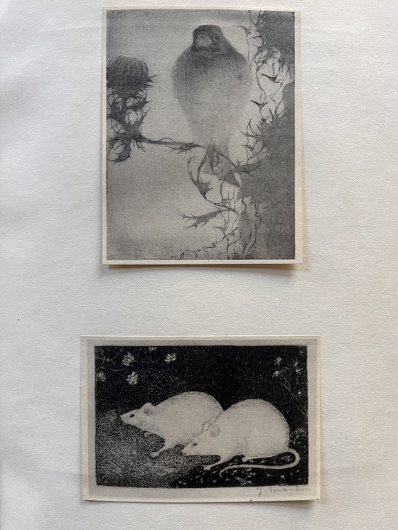 Image 1 of Jan Mankes 1889-1920 / Seltenes Oeuvrebuch 1927 (Limitiert Nr. 11 von 100)