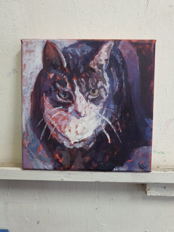 Image 1 of Annemiek Vos - Kater