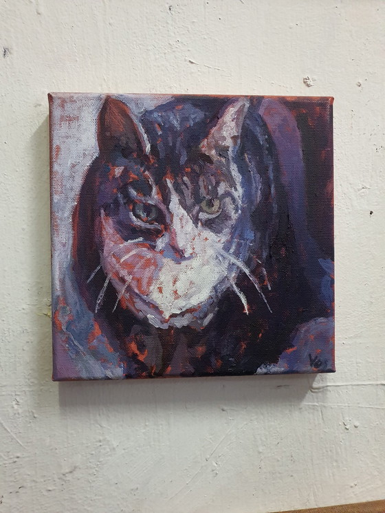 Image 1 of Annemiek Vos - Kater