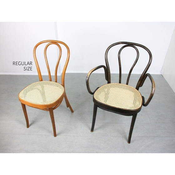 Image 1 of Breiter Vintage-Stuhl Nr. 218 von Michael Thonet
