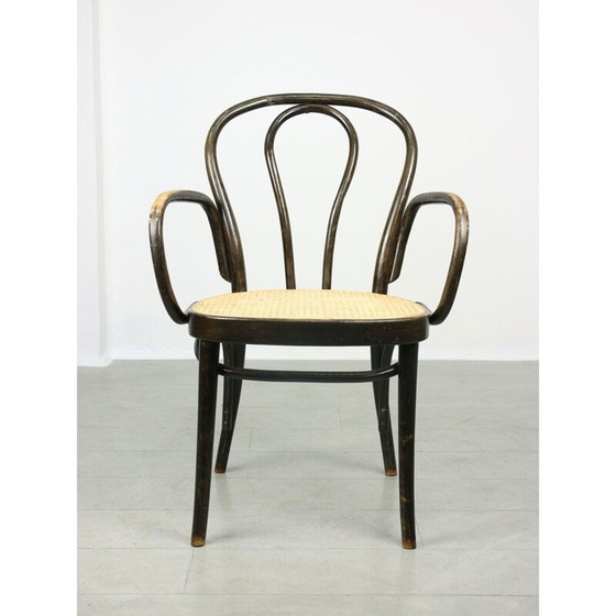 Image 1 of Breiter Vintage-Stuhl Nr. 218 von Michael Thonet