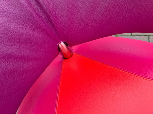 Leolux Pallone Sessel Loveparade