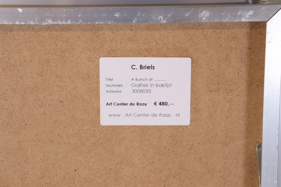 Image 1 of Siebdruck von Clemens Briels W52