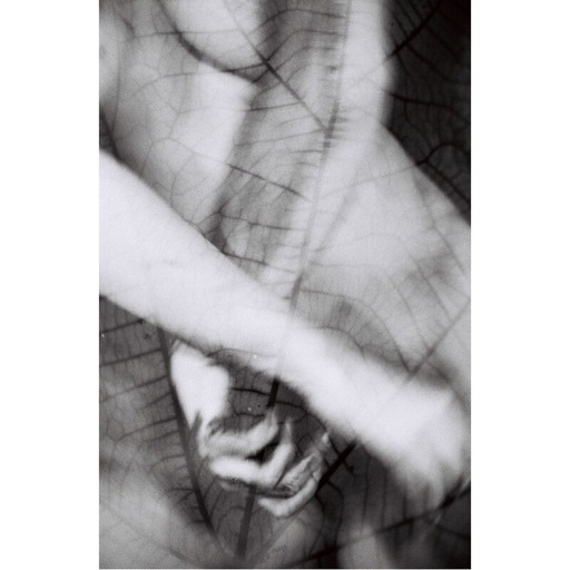 Vintage painting Natural Movements 13 von Meïdhy Bichon, 2019