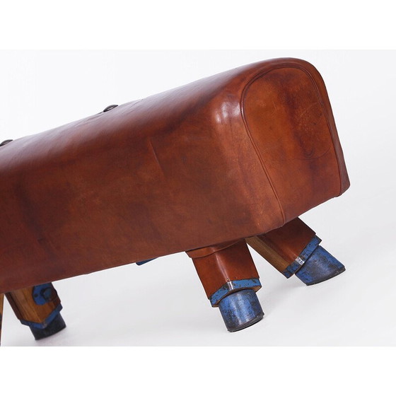 Image 1 of Vintage Gymnastik Leder Pauschenpferd Bank, Tschechoslowakei 1930s