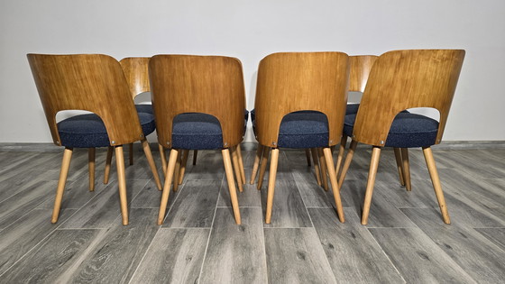 Image 1 of Esstischstühle von Oswald Haerdtl, 1950er Jahre, 8-teilig