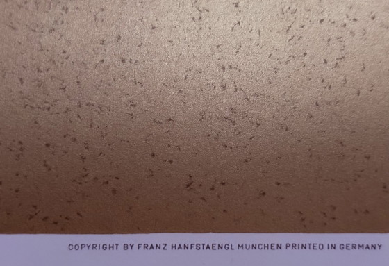 Image 1 of Raffael Van Urbino: "Madonna Della Sedia". Seltenes antiquarisches Lichtdruckporträt.