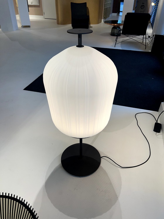 Image 1 of Classicon Plissee-Lampe
