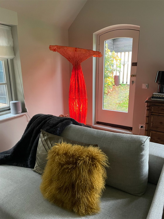 Image 1 of Ayala Serfaty - Windenboden