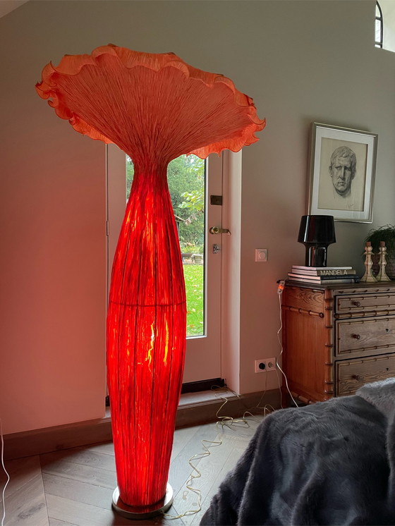 Image 1 of Ayala Serfaty - Windenboden