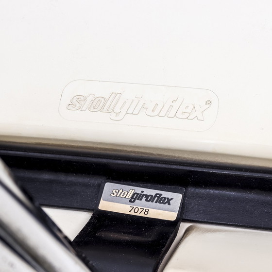 Image 1 of Set Aus Zwei Esszimmerstühlen Martin Stoll Modell 7105 Für Giroflex, 1975