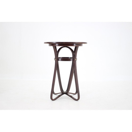 Image 1 of Alter Zeichentisch Nr.42 von Marcel Kammerer für Gebruder Thonet, 1907