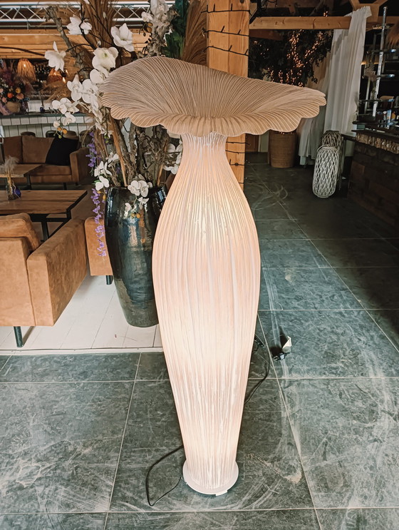 Image 1 of Morgenlatte