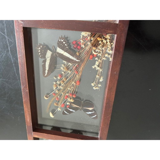 Vintage-Glasrahmen mit naturalisierten Schmetterlingen und Blumen, 1970