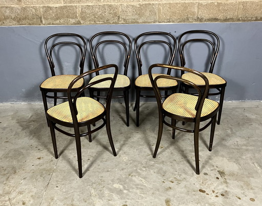 6x Thonet 214 Stühle