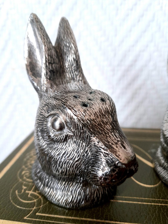 Image 1 of Salz Und Pfeffer Kaninchen Bronze Silber