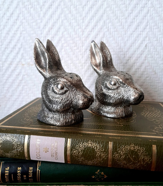 Image 1 of Salz Und Pfeffer Kaninchen Bronze Silber