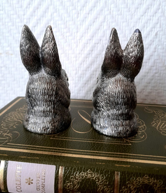 Image 1 of Salz Und Pfeffer Kaninchen Bronze Silber