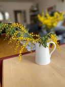 Wedgwood Krug