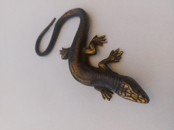 Image 1 of Messingsalamander