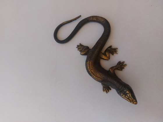 Image 1 of Messingsalamander