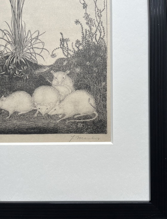 Image 1 of Jan Mankes 1889-1923 / Original Heliogravüre 4 Mäuse 1923 (wunderschön gerahmt)