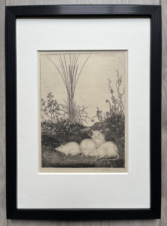 Image 1 of Jan Mankes 1889-1923 / Original Heliogravüre 4 Mäuse 1923 (wunderschön gerahmt)