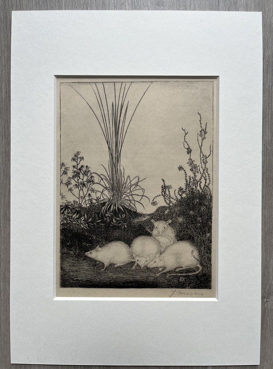 Image 1 of Jan Mankes 1889-1923 / Original Heliogravüre 4 Mäuse 1923 (wunderschön gerahmt)