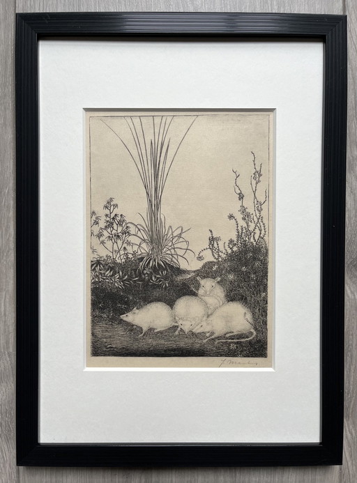 Jan Mankes 1889-1923 / Original Heliogravüre 4 Mäuse 1923 (wunderschön gerahmt)