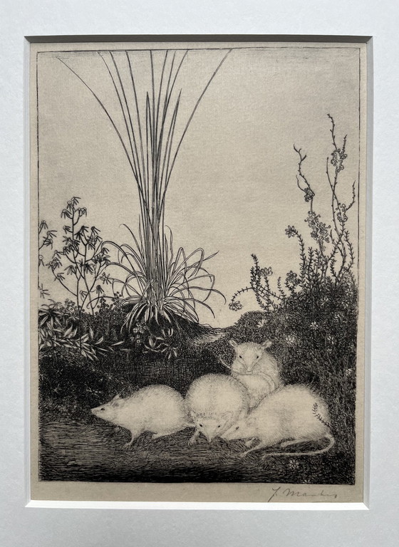Image 1 of Jan Mankes 1889-1923 / Original Heliogravüre 4 Mäuse 1923 (wunderschön gerahmt)