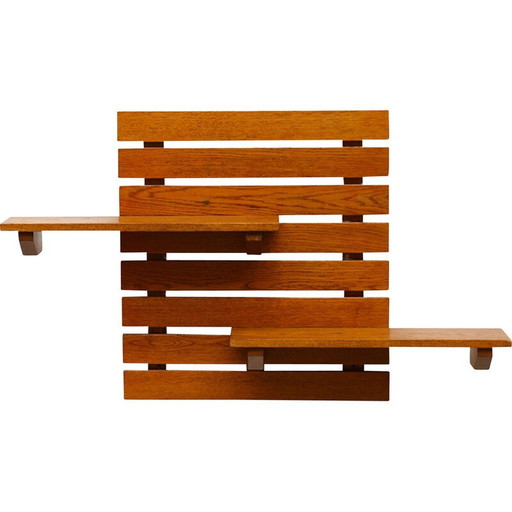 Vintage Wandpaneel mit Regalen, Frankreich 1960